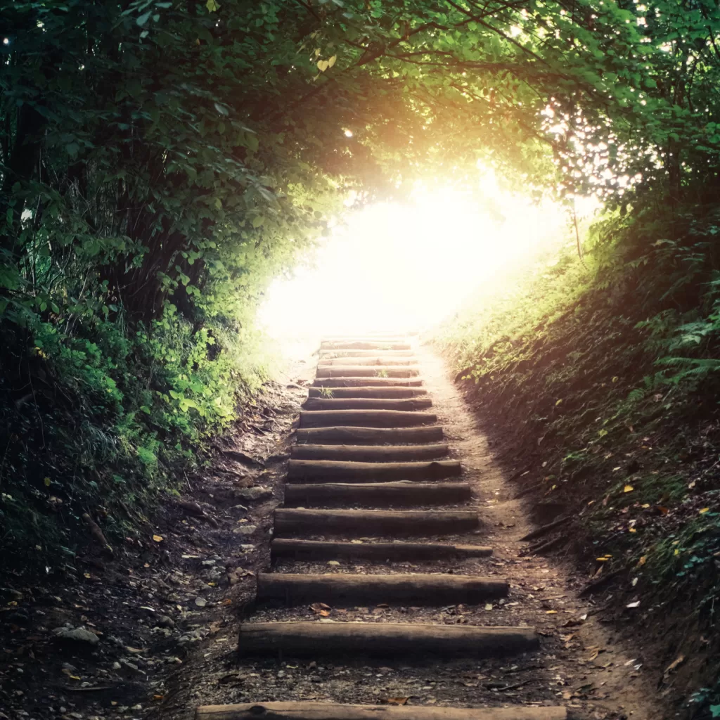 A peaceful forest stair path leading to a sunlit clearing, symbolizing the hopeful moments found on a healing journey.
