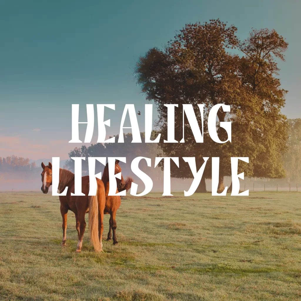 Two horses standing peacefully in a field, representing the calming and healing connection with nature in a healing lifestyle. Text on image "Healing Lifestyle"